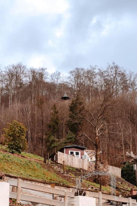 Tinyhouse Auf Dem Sonnenhang Osterode am Harz Eksteriør billede